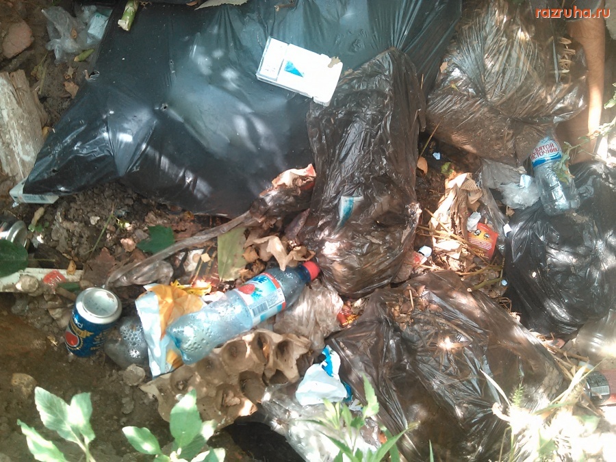 Курск - Бурьян