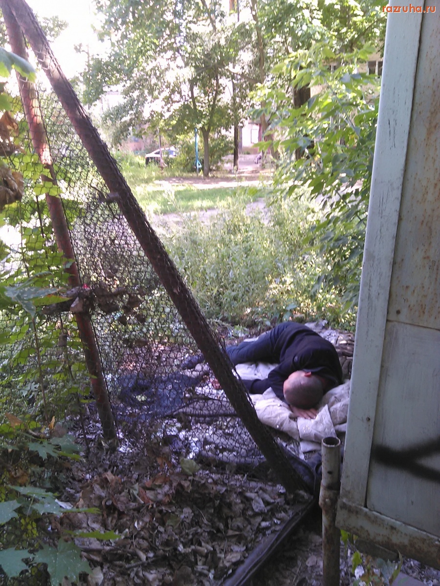 Курск - Бомж спит