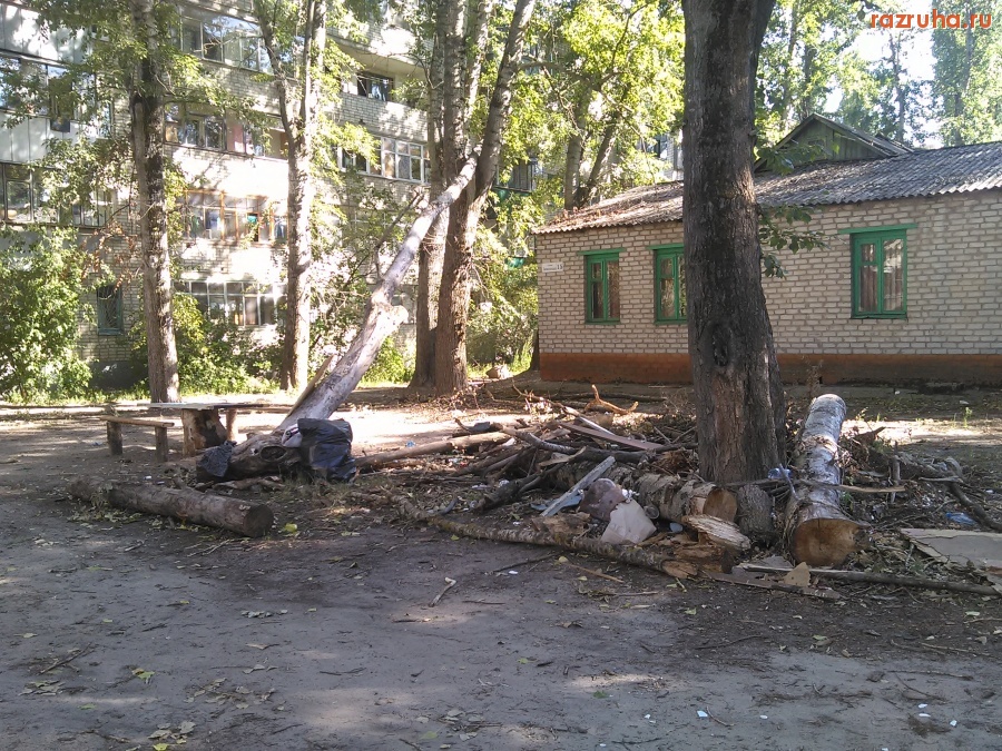 Курск - Дерево палое