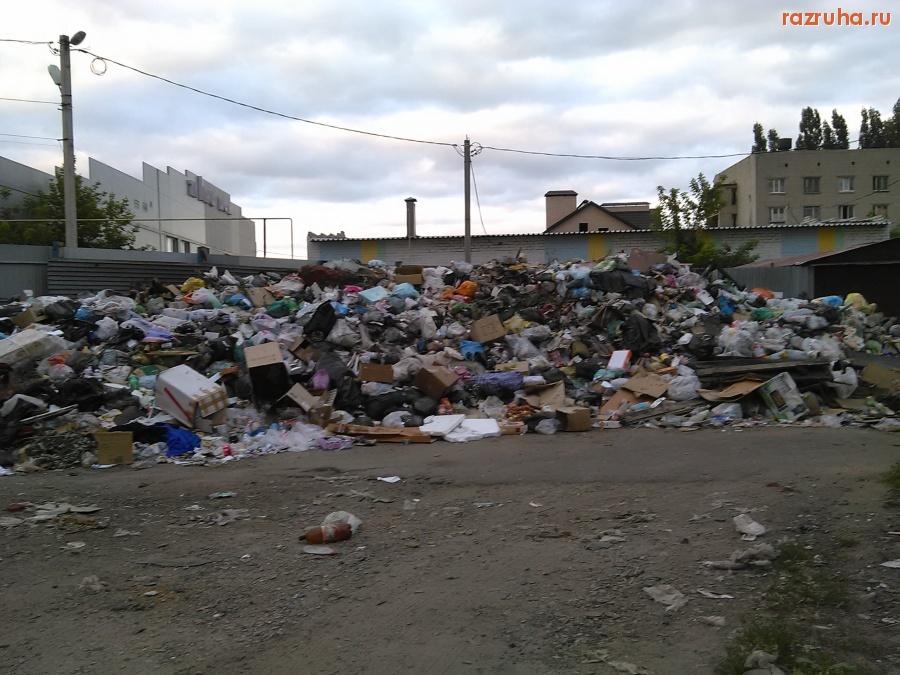 Курск - Помойка на Литовской