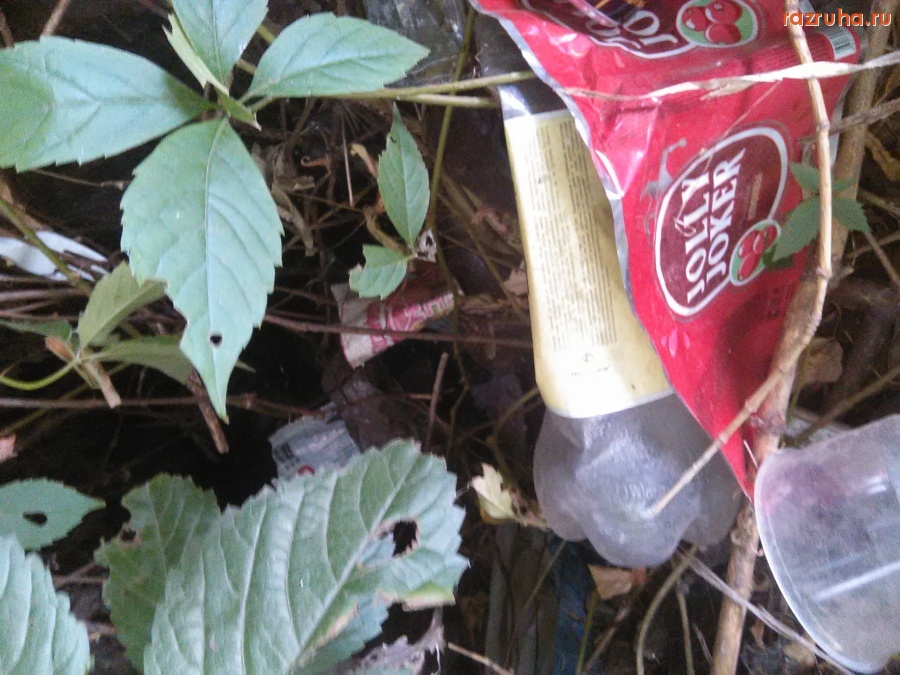 Курск - Открытый мир, мусор вокруг