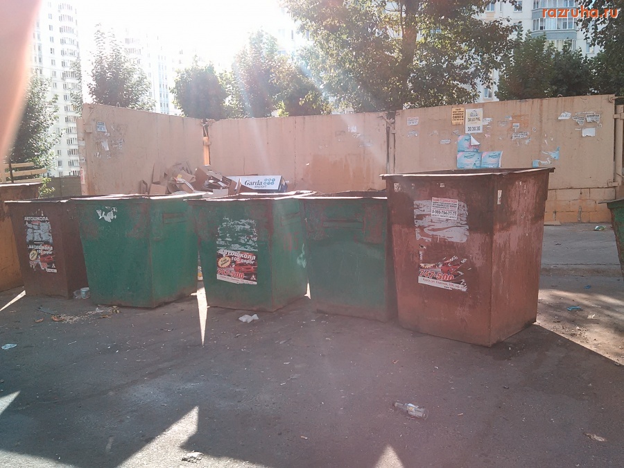 Курск - Чистота