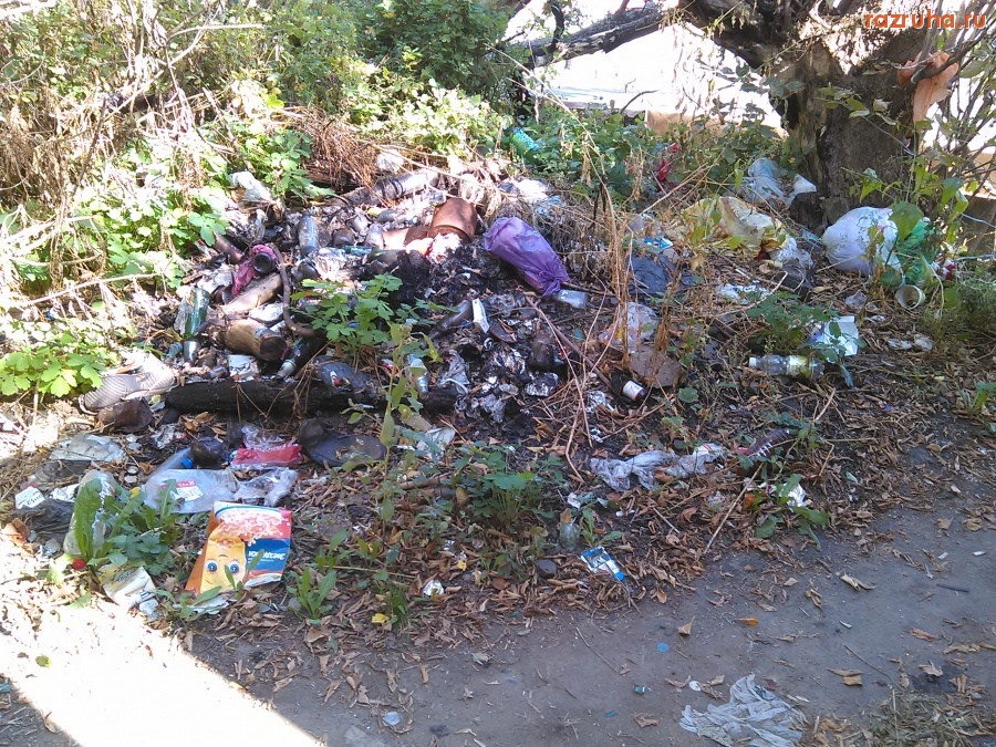 Курск - Мусор у дома
