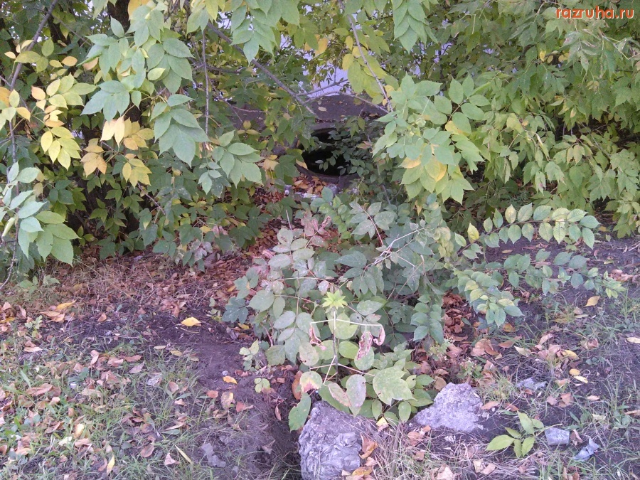 Курск - люк на Энгельса