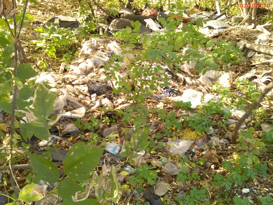 Курск - Мусор на ВЧК