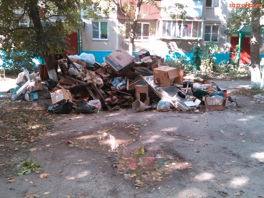 Курск - Мусор из подвала