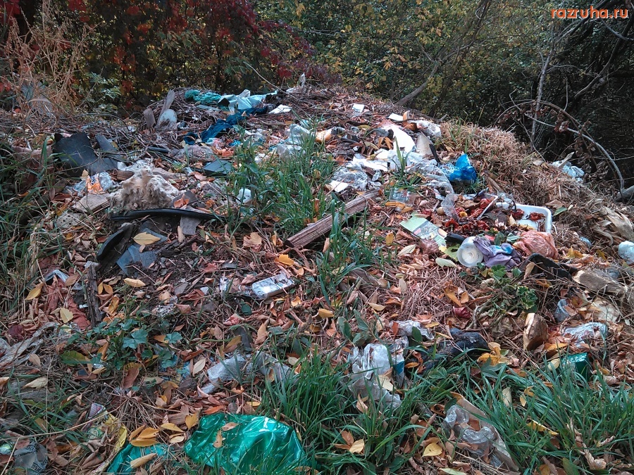 Курск - Кинуть вниз