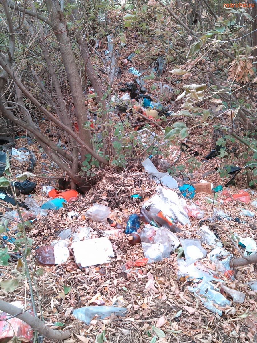 Курск - Грязный овражек