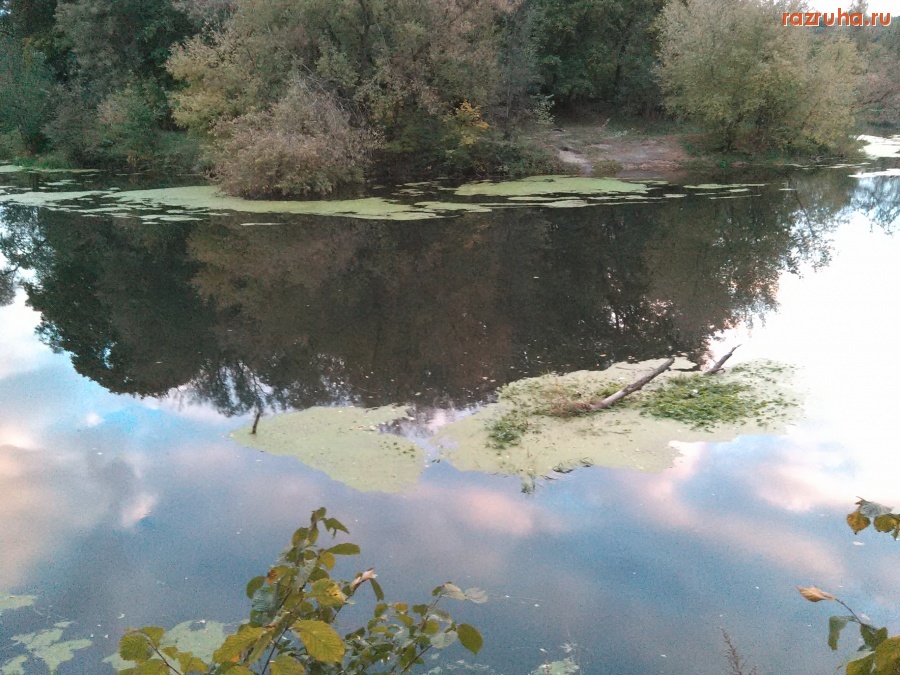 Курск - Затонувшая коряга