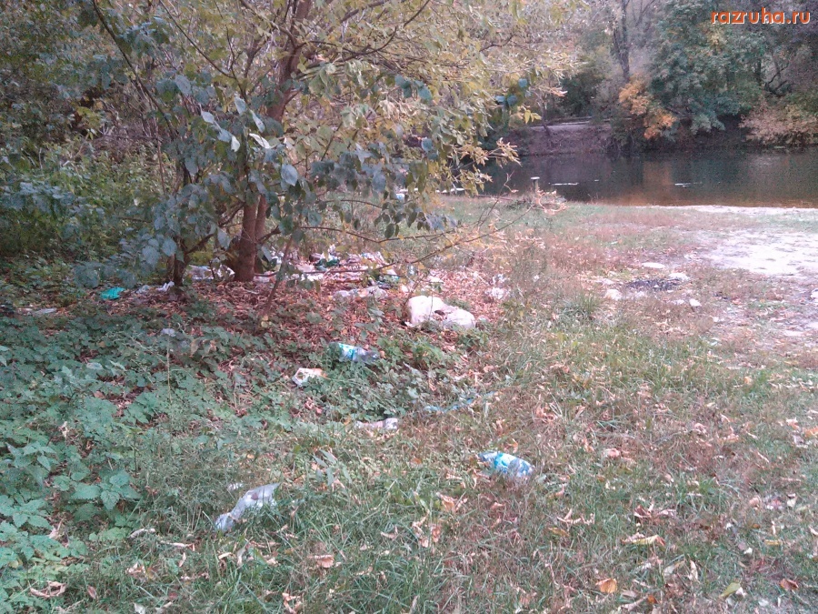 Курск - Пляж