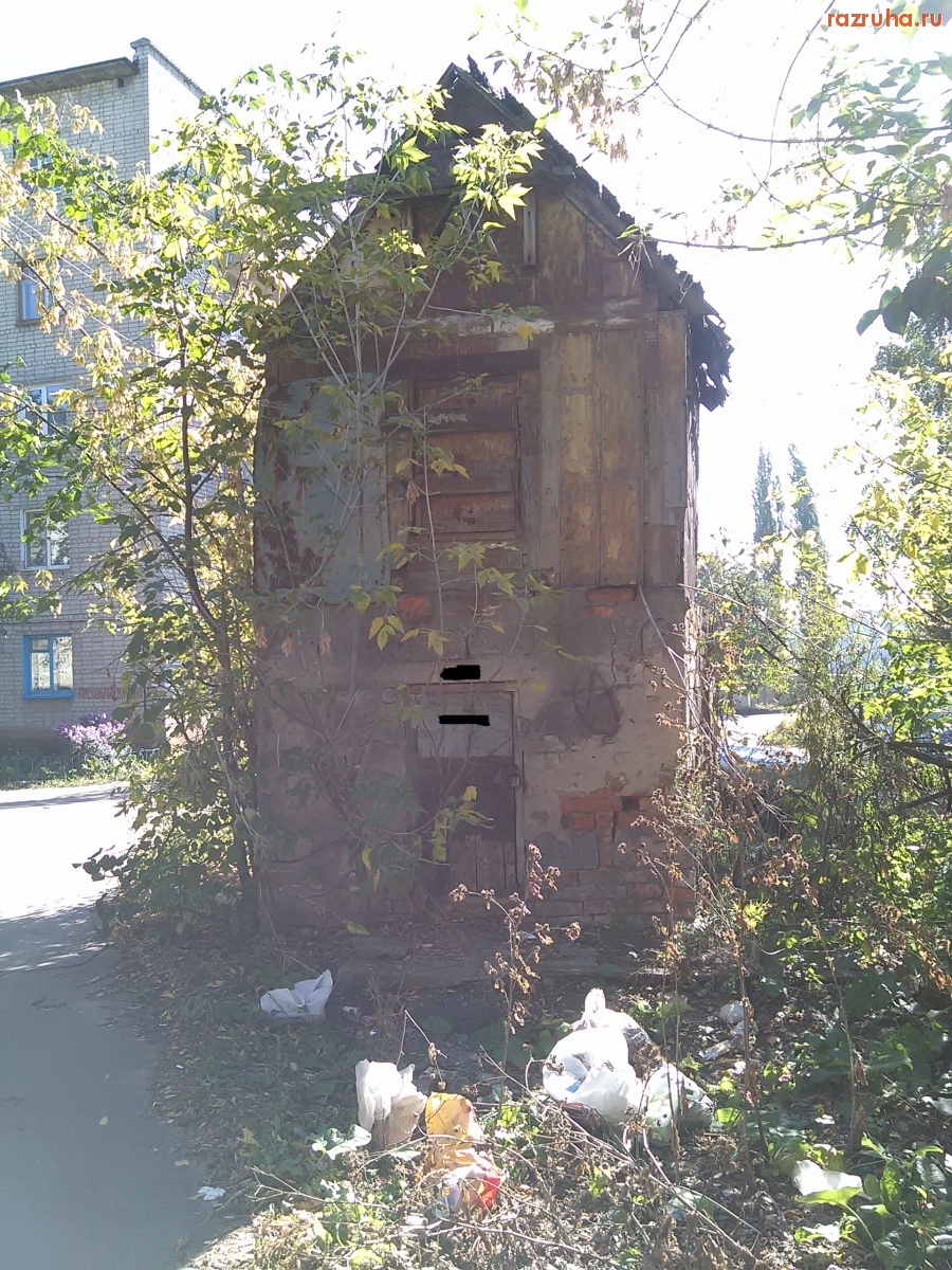 Курск - Голубятня