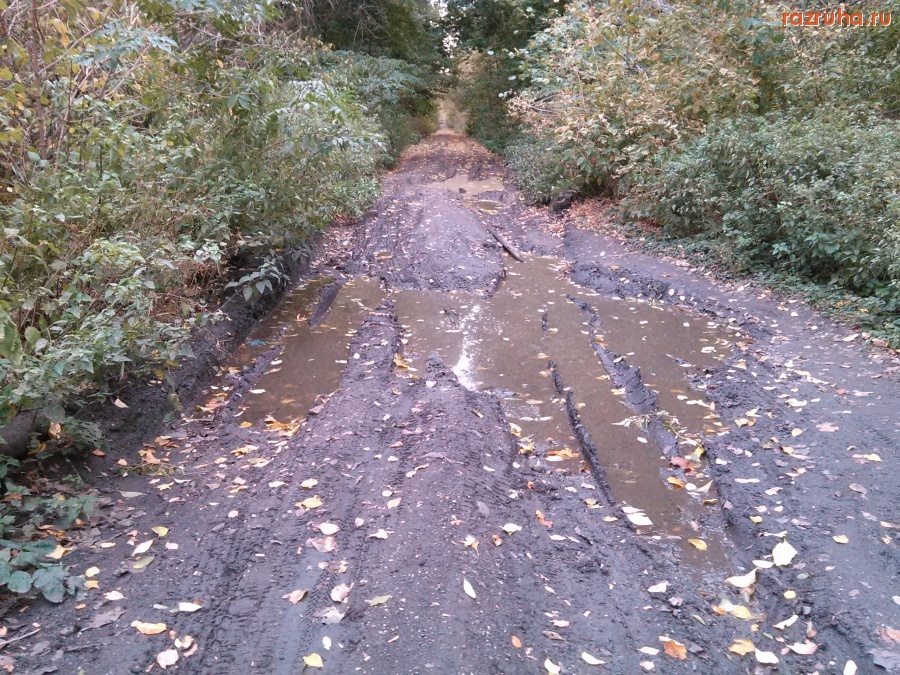 Курск - Дорога в Соловьиной роще