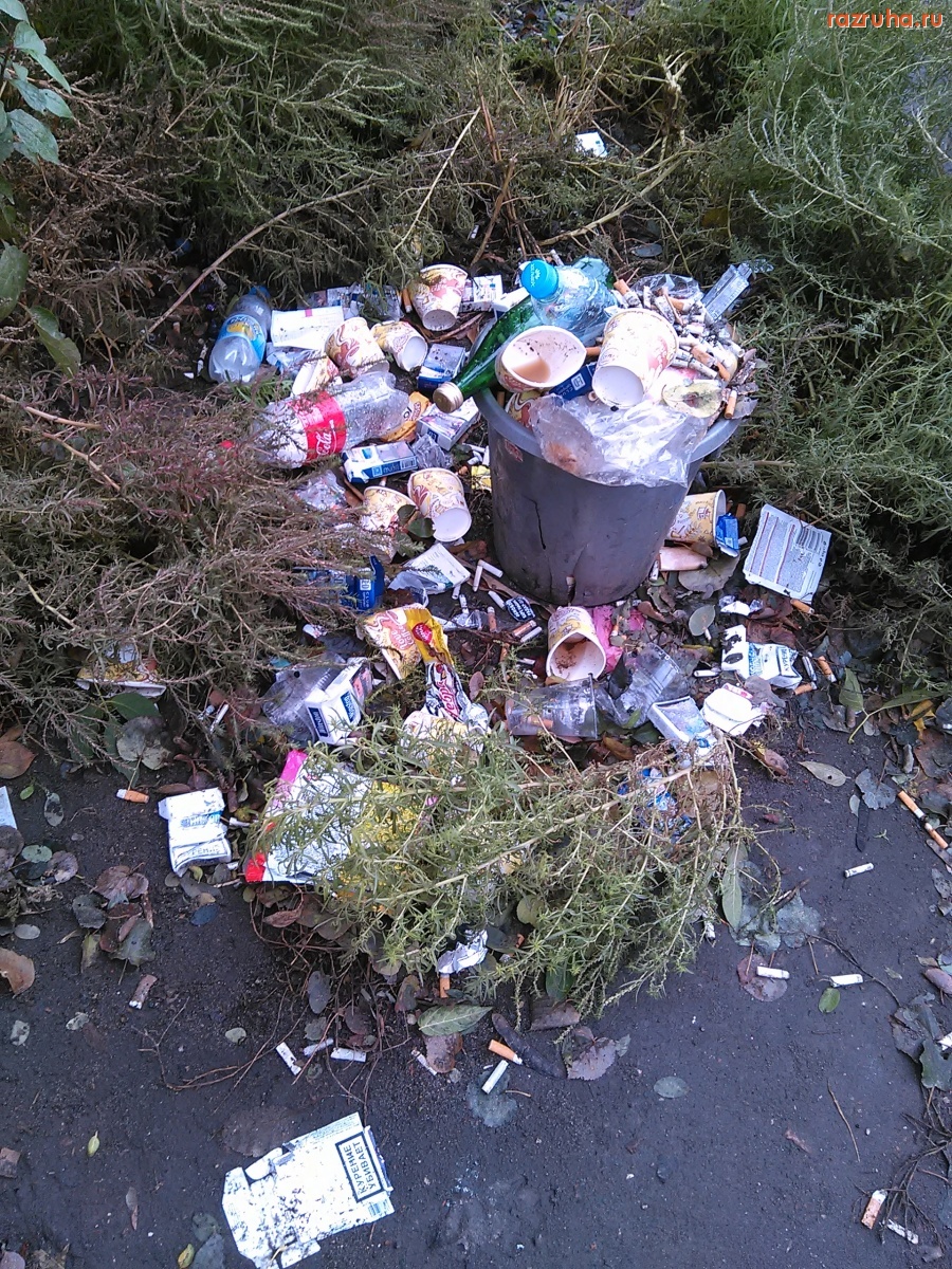 Курск - Урна на Советской