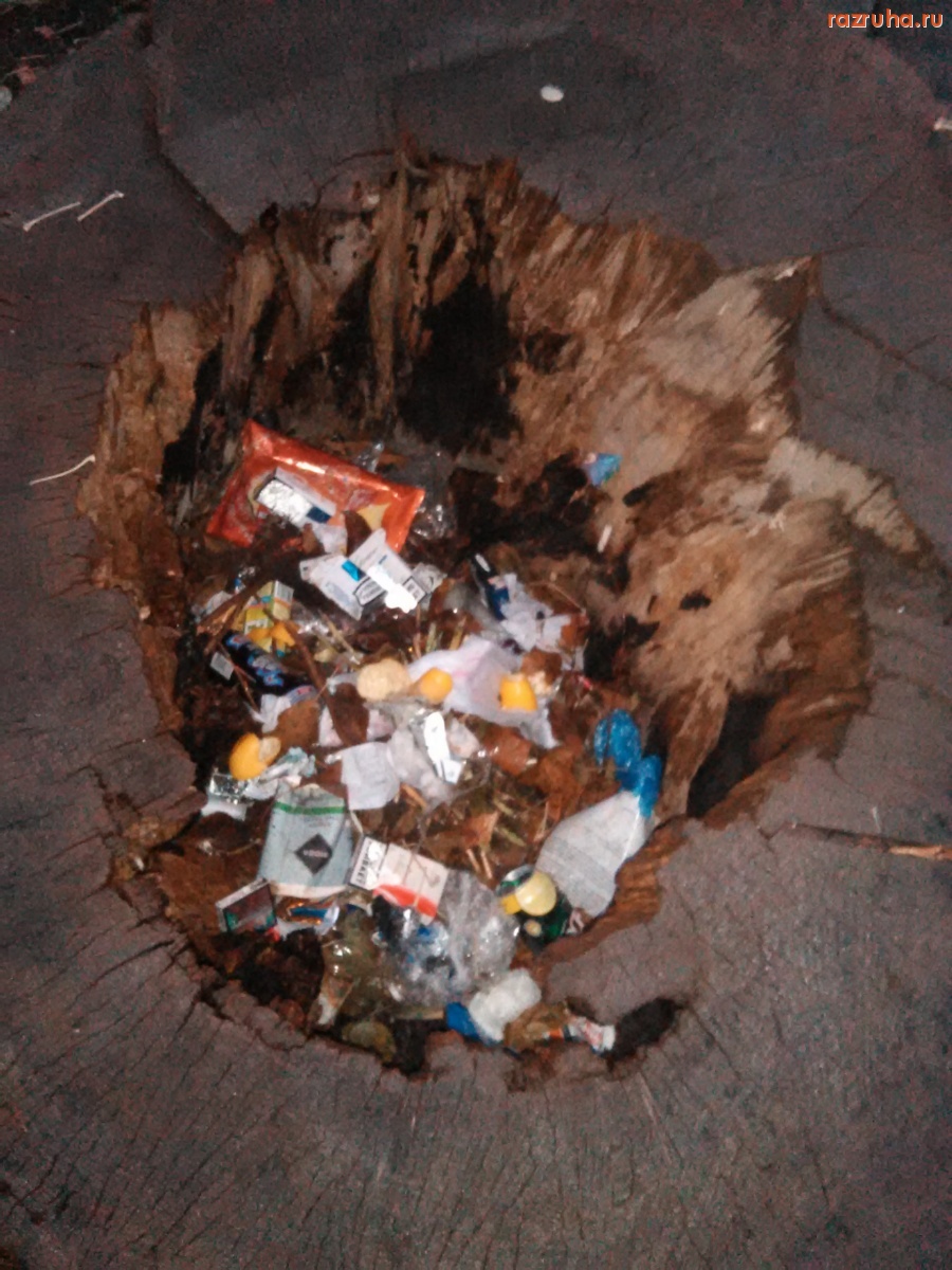 Курск - Пень