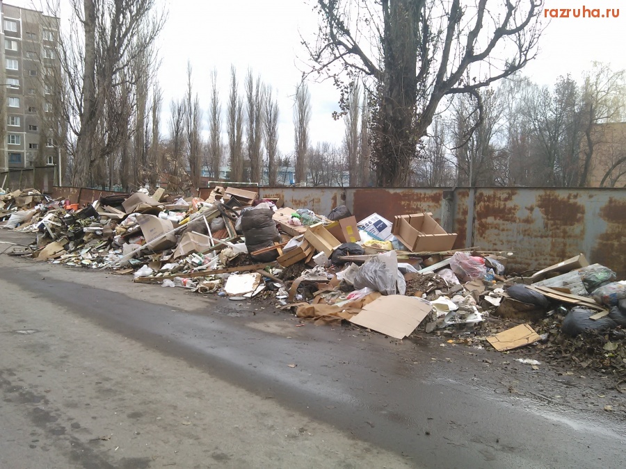 Курск - Мусор на фоне школы