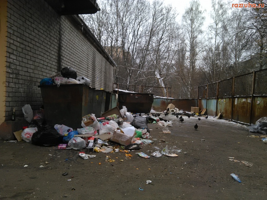 Курск - Помойка возле магазина