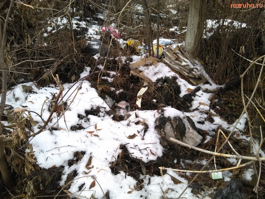 Курск - Двор женской консультации