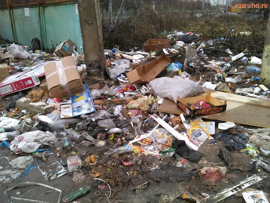 Курск - Помойка возле больницы