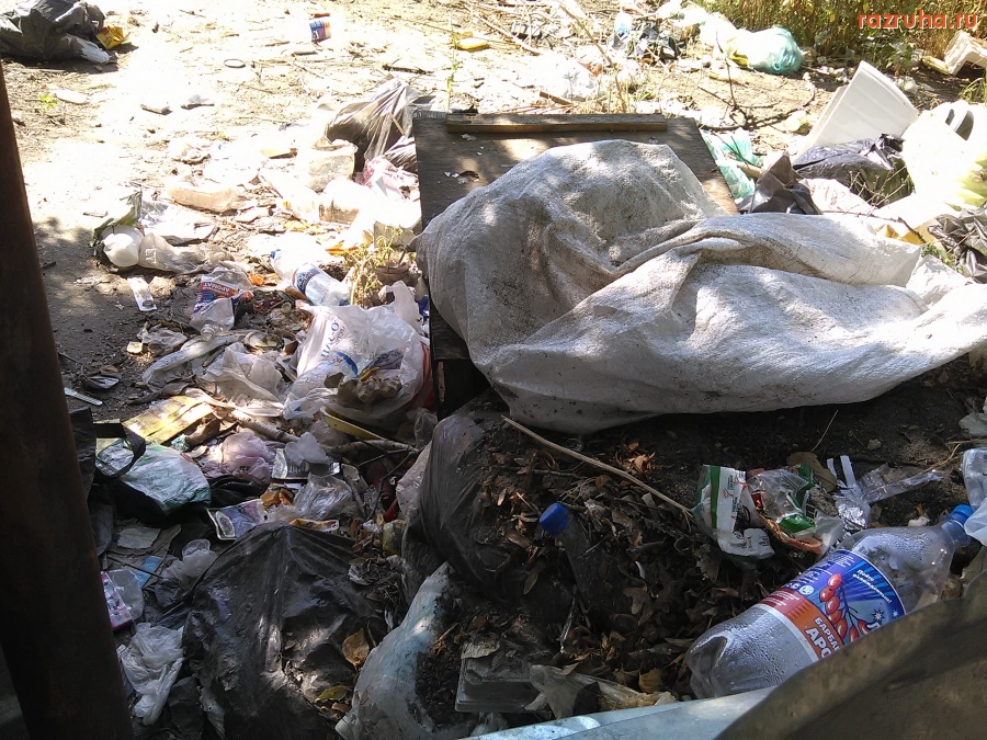 Курск - Летом как было