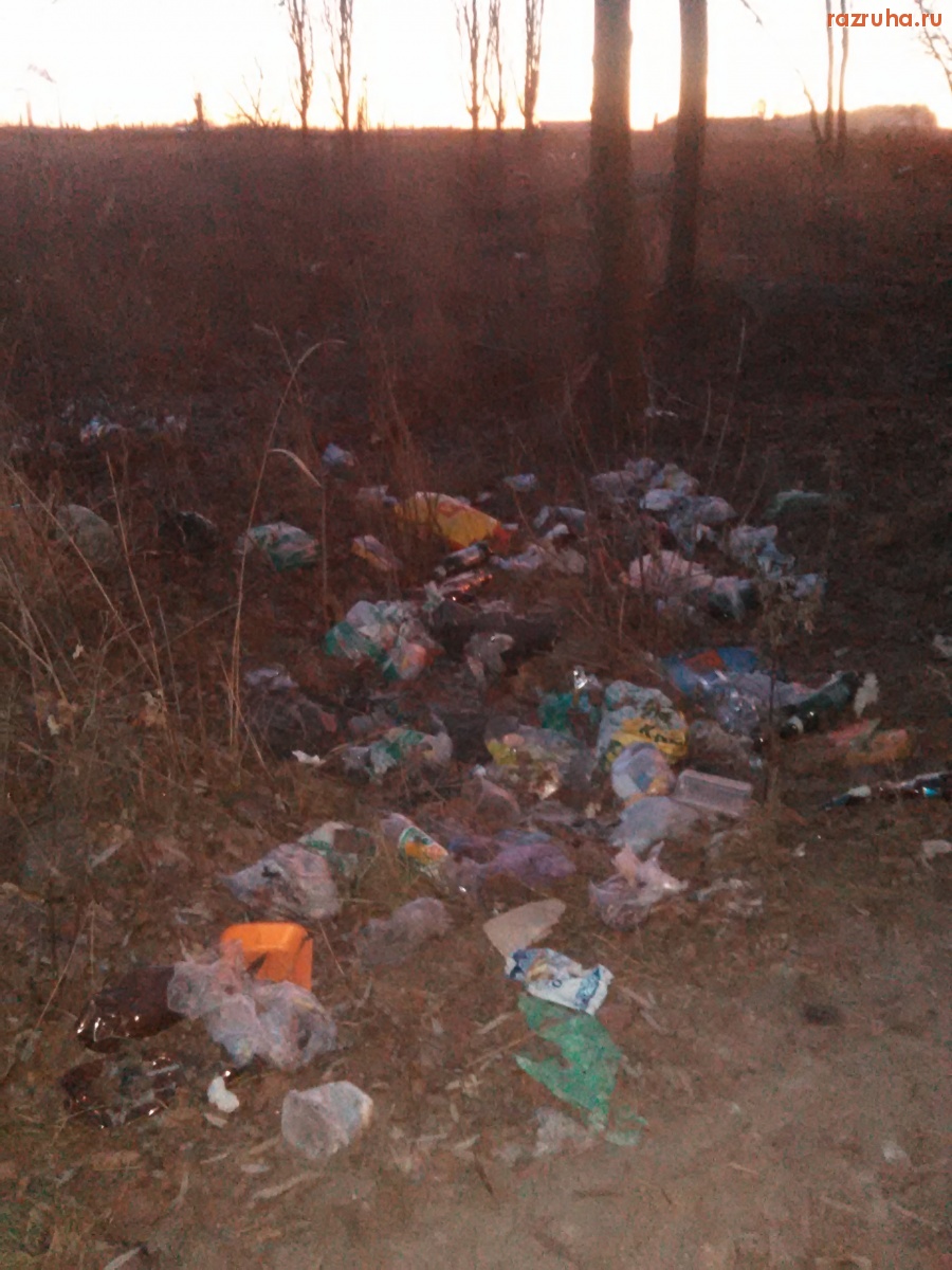 Курск - Где попало