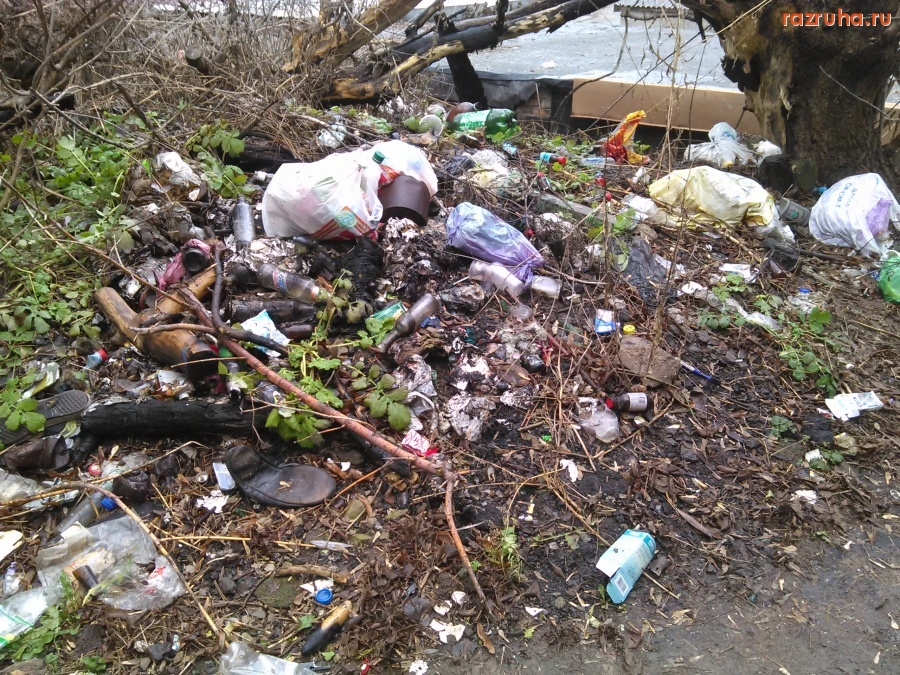 Курск - Нагадили