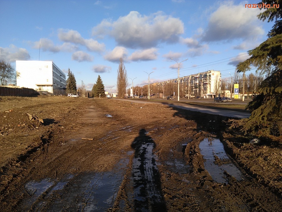 Курск - Вырубка елей на Энгельса