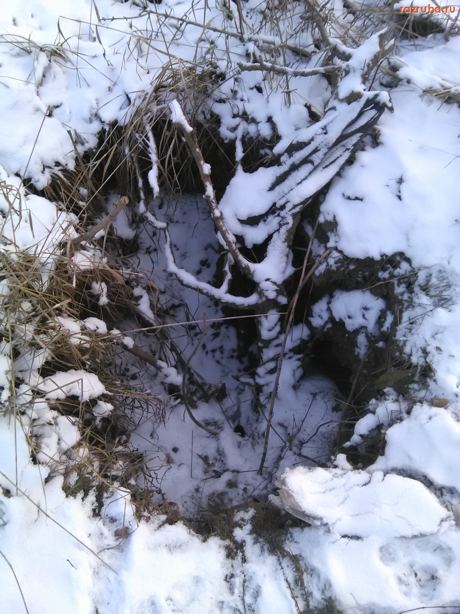 Курск - Нет теперь люка