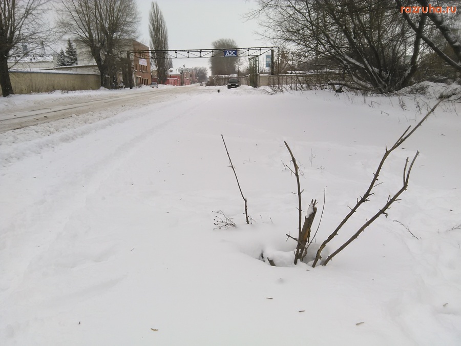 Курск - Что тут?