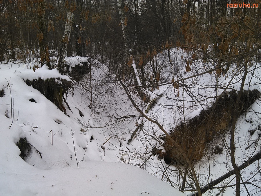 Курск - Лесной овраг