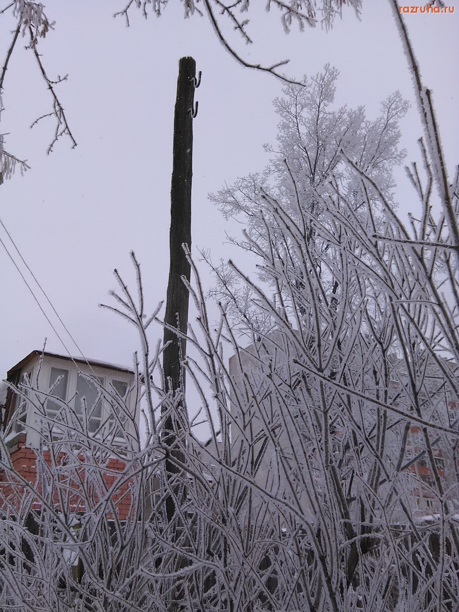 Курск - Пустырь зимой