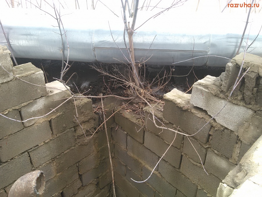 Курск - Люк на Льговском повороте