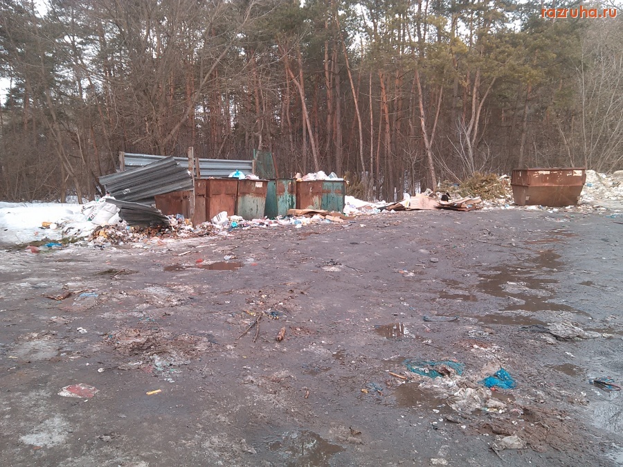 Курск - Мусорка на Малышева