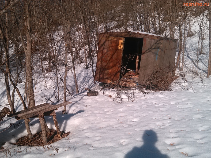 Курск - Будка в лесу