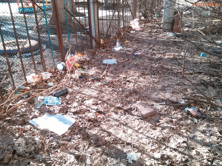 Курск - Культура