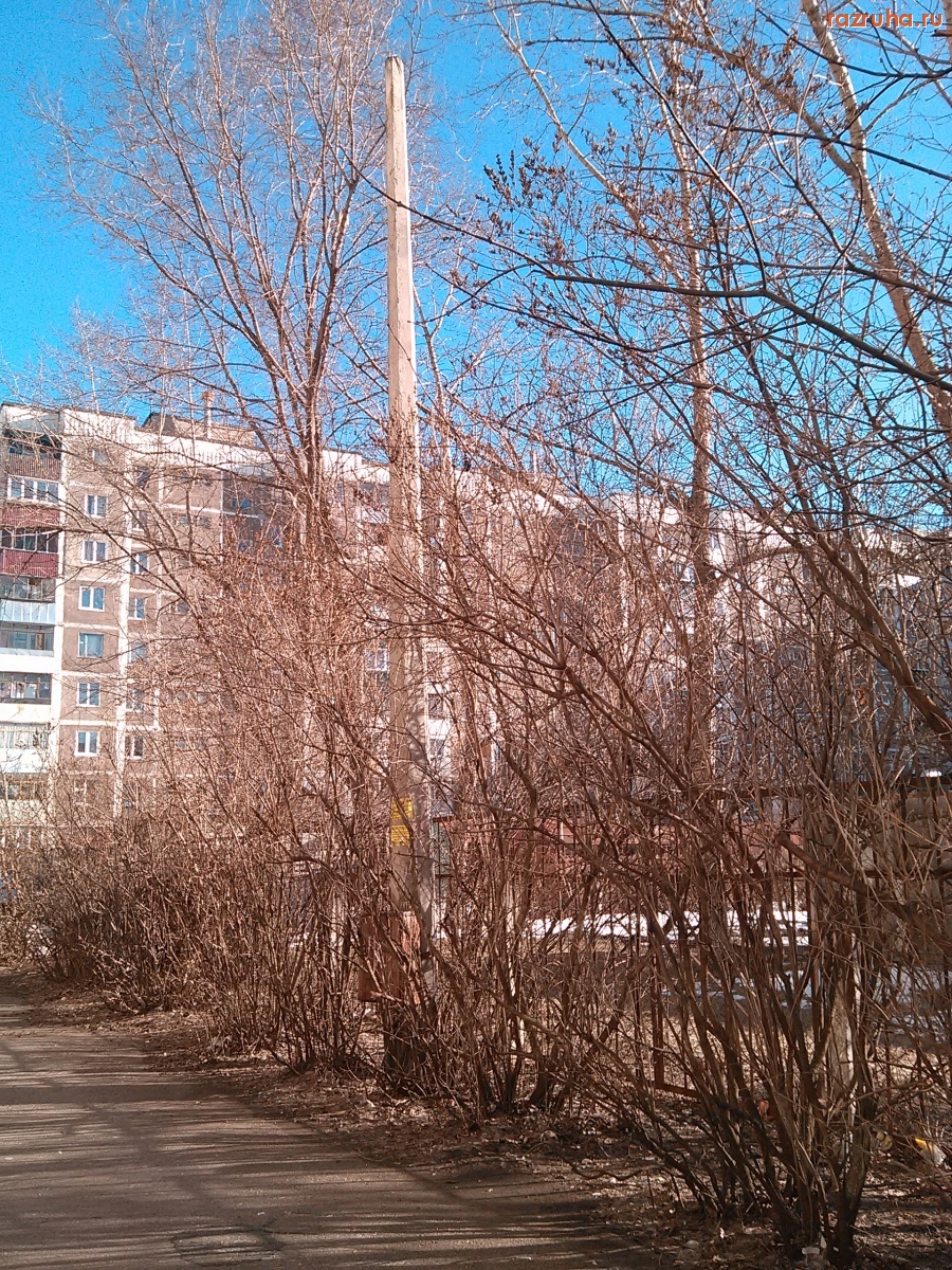 Курск - И столб просто так