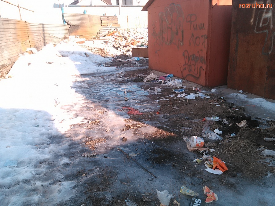 Курск - Свинство на мусорке