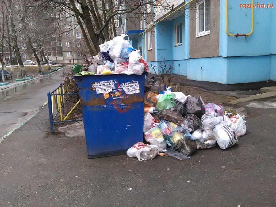 Курск - У подъезда