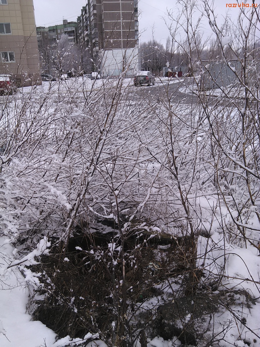 Курск - Люк на Орловской