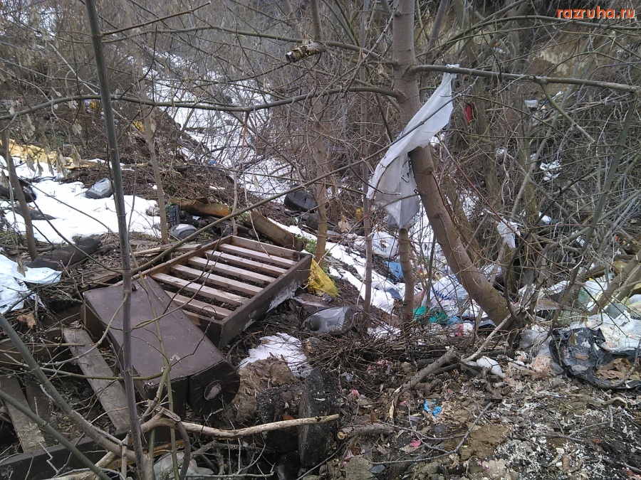 Курск - Овраг с мусором