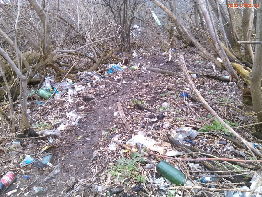 Курск - Мусорят