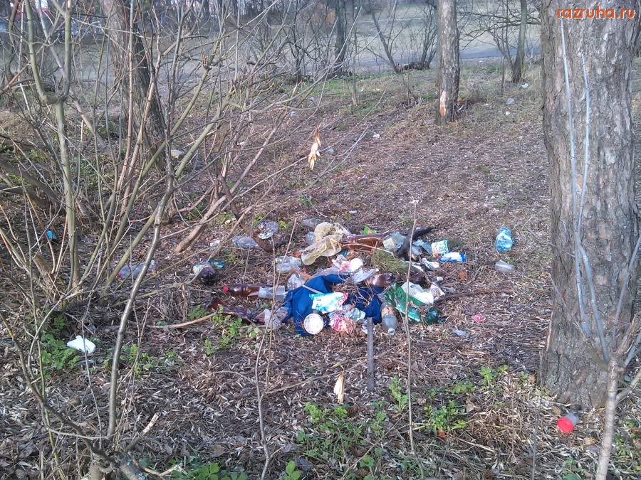 Курск - Околофутбол на ПЛК