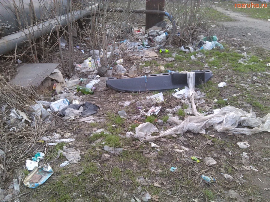 Курск - Классическое свинство