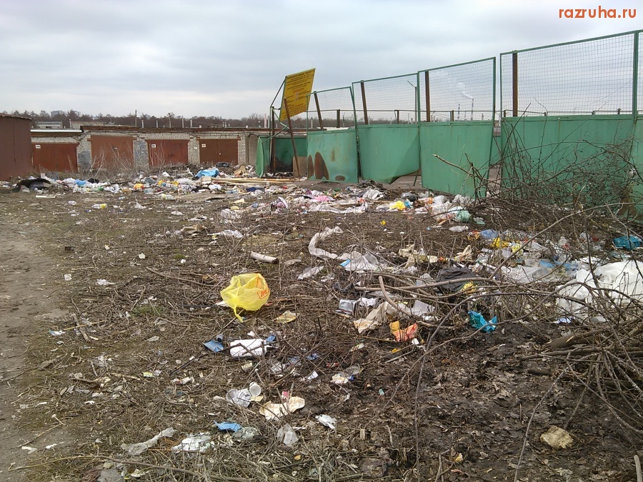 Курск - Свинство на Заводской