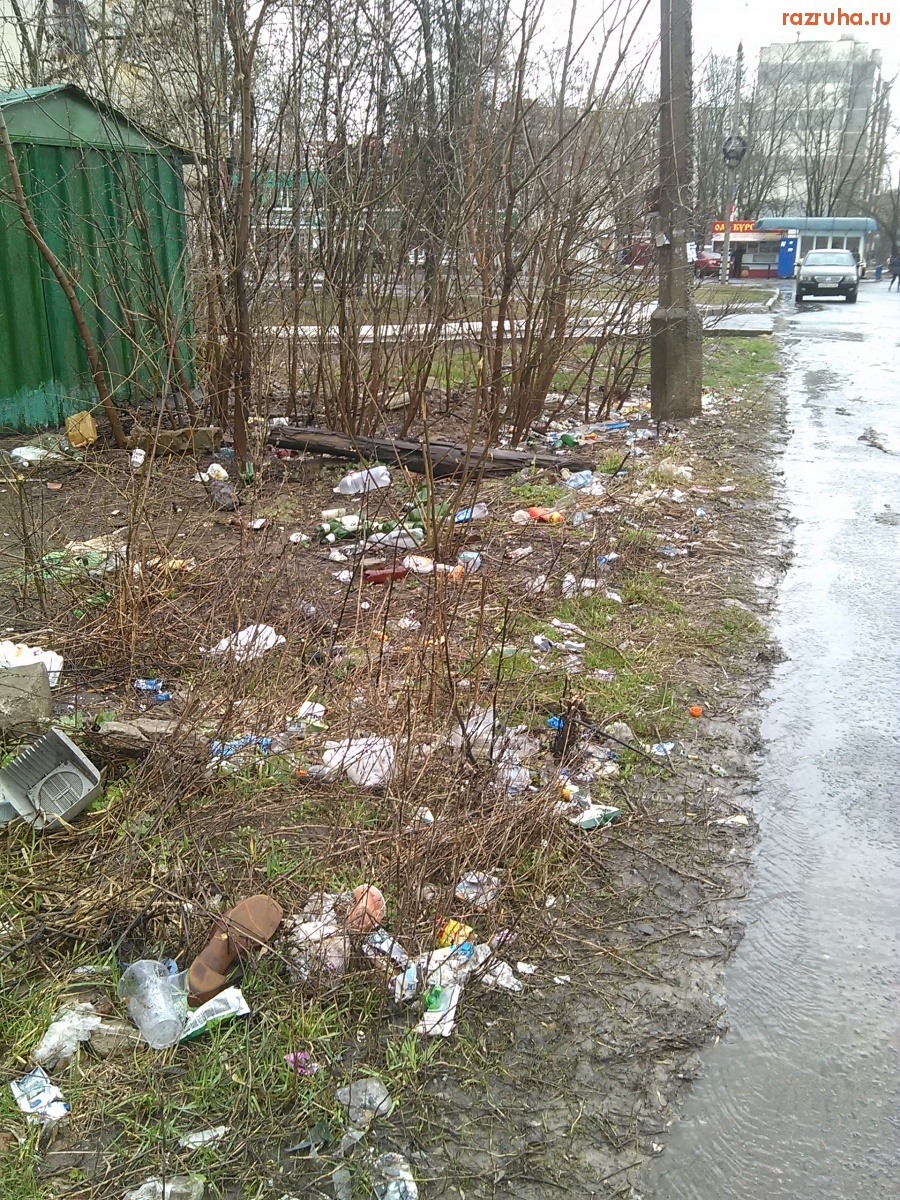 Курск - Свинство