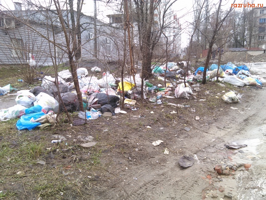 Курск - Куча без конца