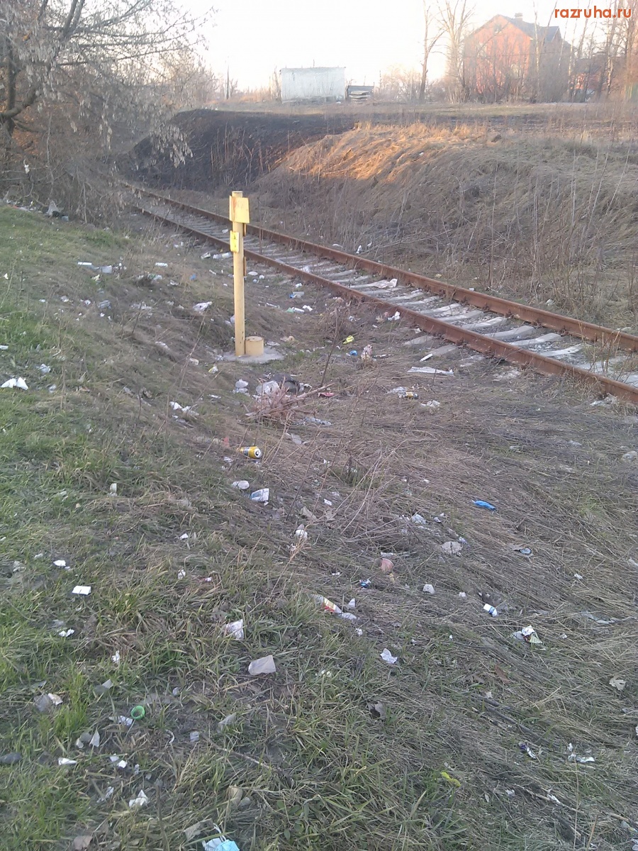 Курск - Пал травы