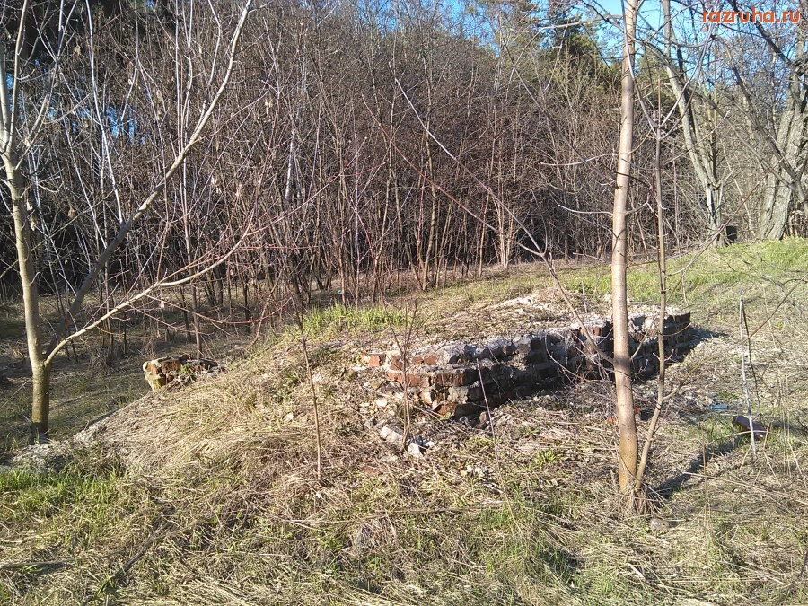 Курск - Нечто