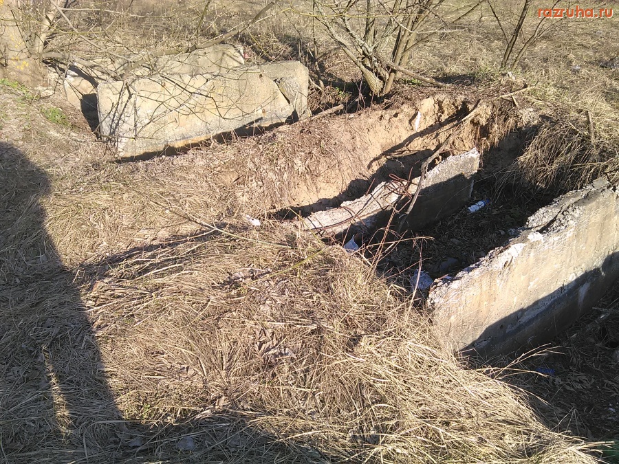 Курск - Рёбрышки