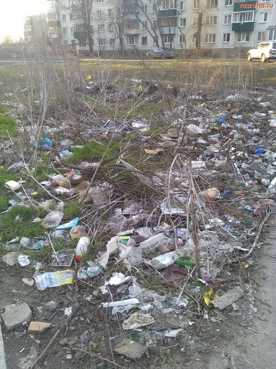 Курск - Помойка с неудовлетворительным вывозом