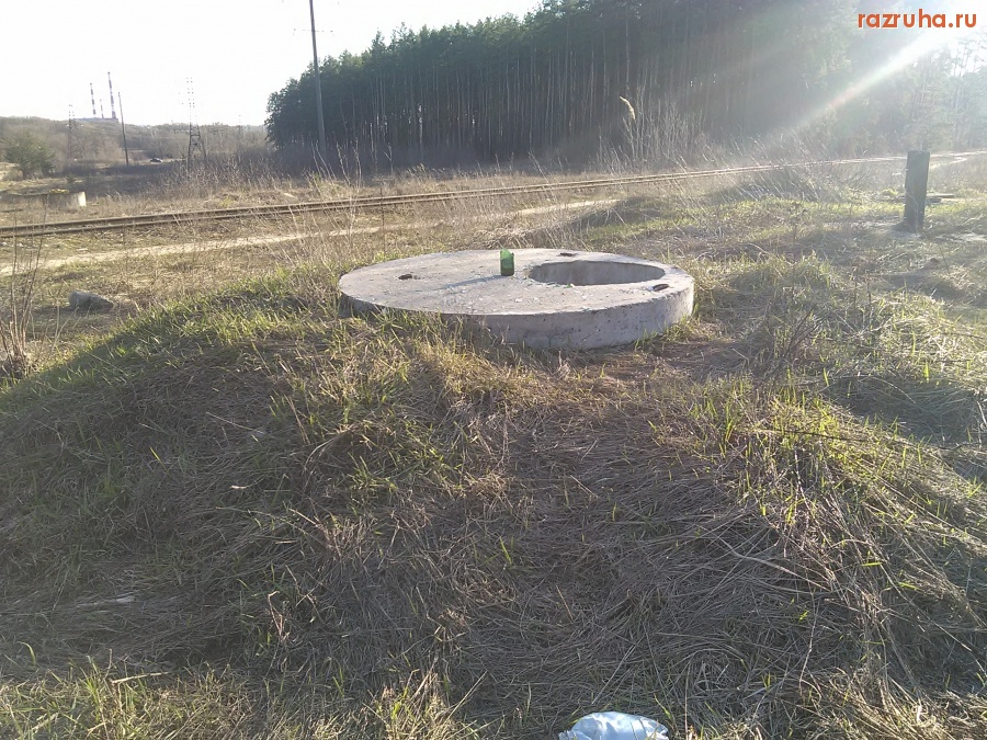 Курск - Люк в лесу